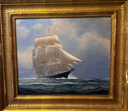 Champion of The Seas